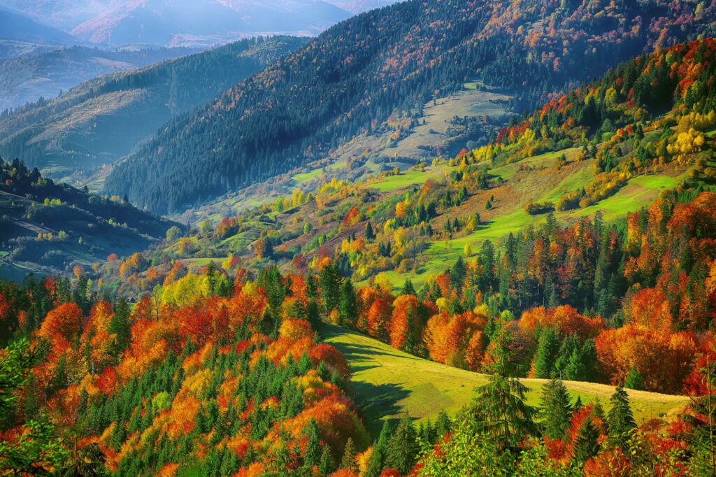 the mountain autumn landscape with colorful forest